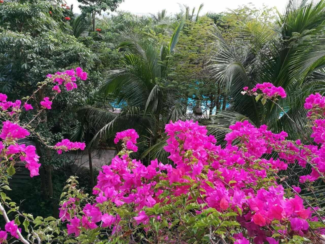 Stony Brook Villa Jianguo Resort Σανυά Εξωτερικό φωτογραφία